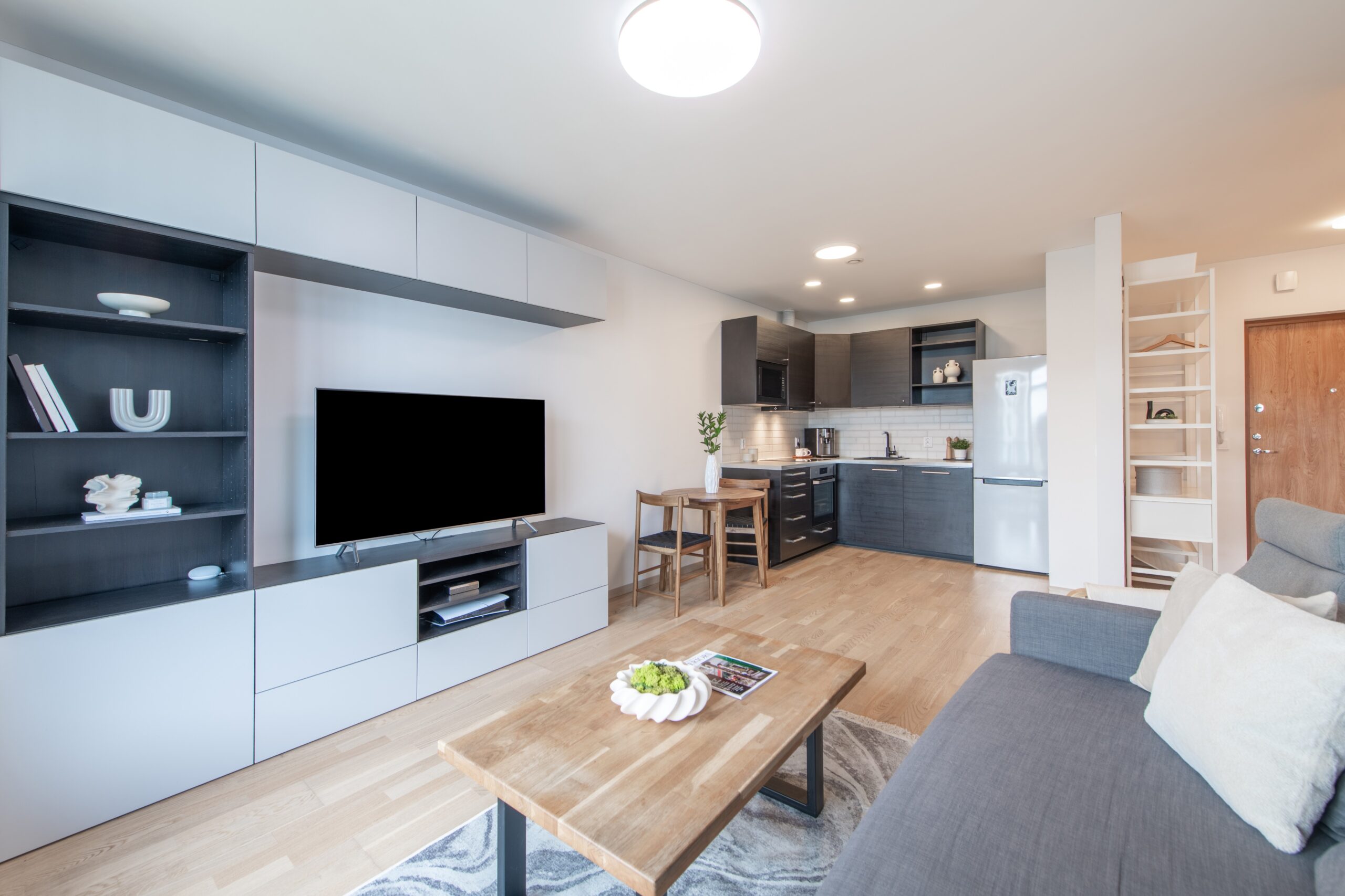 LIVING ROOM & MEDIA CENTER (1)