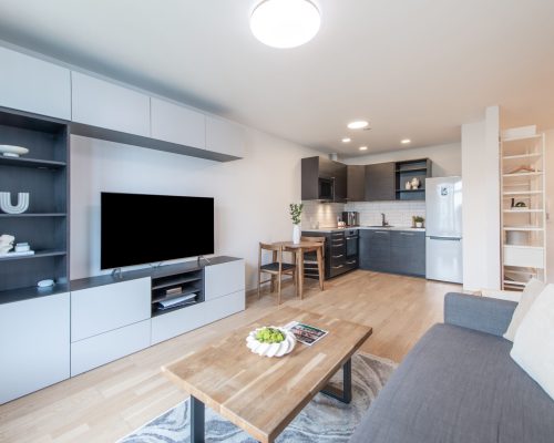 LIVING ROOM & MEDIA CENTER (1) LIVING ROOM & MEDIA CENTER (1)